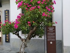 -广州神农草堂中医药博物馆