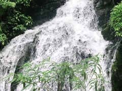 -三峡人家风景区