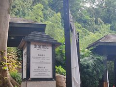 -融汇温泉