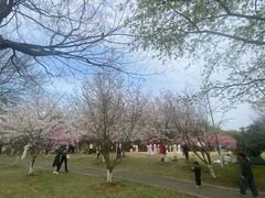 -采石矶景区