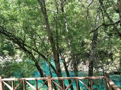 -叠溪松坪沟景区