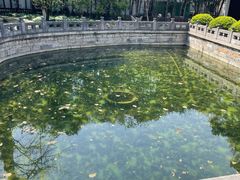 -汇龙潭