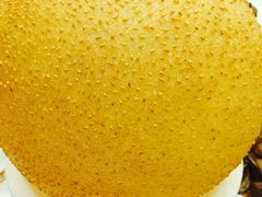 -海景壹号大酒店(滨湖店)