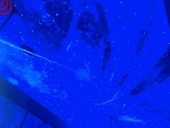-SIGN星座主题音乐餐吧