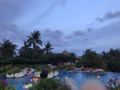 -糟粕醋·椰苑海南菜餐厅(亚龙湾天域酒店)