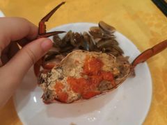 -莲花公园煎蟹(总店)