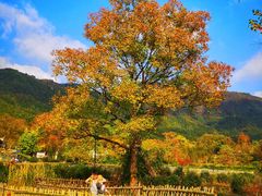 -塔川景区