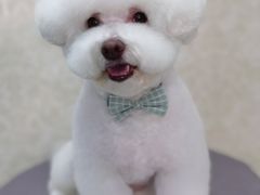 -乐琪宠物(青塔西路店)