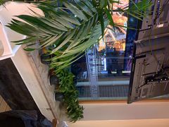 -管氏翅吧(国展店)