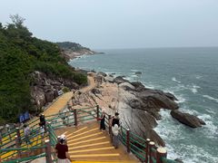-广东惠东海龟国家级自然保护区