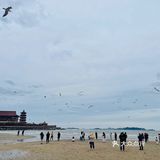 海边的饭店