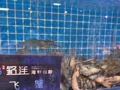 -乔哥铭洋海鲜自助(皇城恒隆广场店)