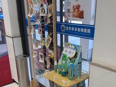 -派美特宠物医院·核磁CT·骨科肿瘤·疑难转诊(沈农禾丰店)