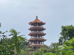 -深圳仙湖植物园