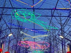 -南宫五洲植物乐园