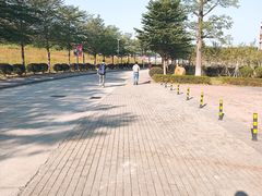 -广东岭南职业技术学院(清远校区)