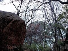 -灵岩山风景区