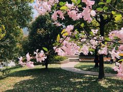-复旦大学光华楼