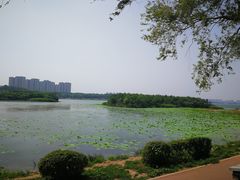 -丁香湖公园