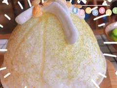 -朱氏胖子烂火锅(洪崖洞店)