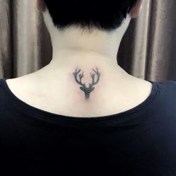 -明星刺青·洗纹身