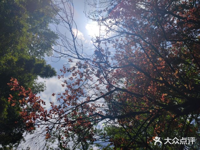 碧峰峡风景区图片