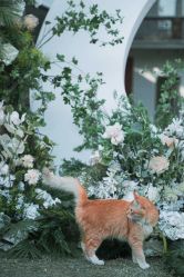 -曼格纳婚礼艺术中心(张江店)