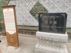 -塔尔寺菩提树