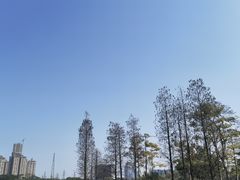 -顺峰山公园
