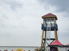 -碧海金沙