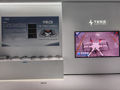 -海心沙亚运公园