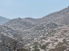 -妙峰山风景名胜区
