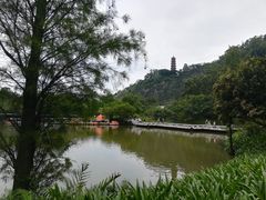 -南沙蒲洲花园
