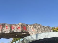 -合肥野生动物园