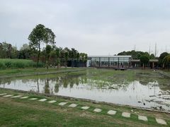 -洪湖家庭农场·团建·露营·会议