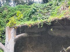 -青青世界