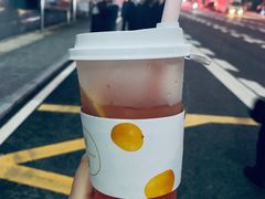 -树夏(建设路店)