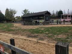 -田园东方蜜桃村的田野营地