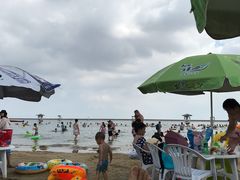 -碧海金沙