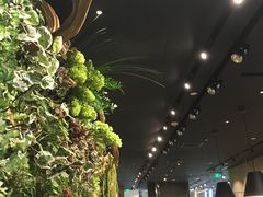 -Seesaw Coffee(环贸iapm店)