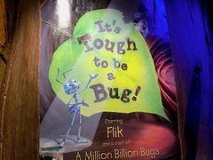 -奥兰多迪士尼动物王国乐园