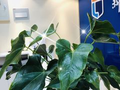 -新励成演讲口才培训(广州海珠学训中心)