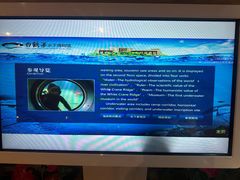 -白鹤梁水下博物馆