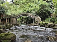 -广州市石门国家森林公园
