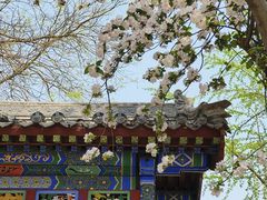 -隆兴寺