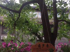 -何适山庄 ·可团建(水长城P2停车场店)