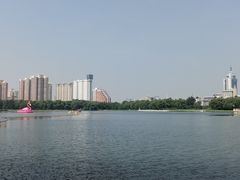 -莲花池公园