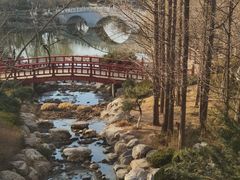 -大连植物园