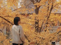 -腾爱熊猫咖啡生活馆(老东门店)