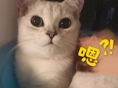-娘惹裙厨餐厅(昙华林店)